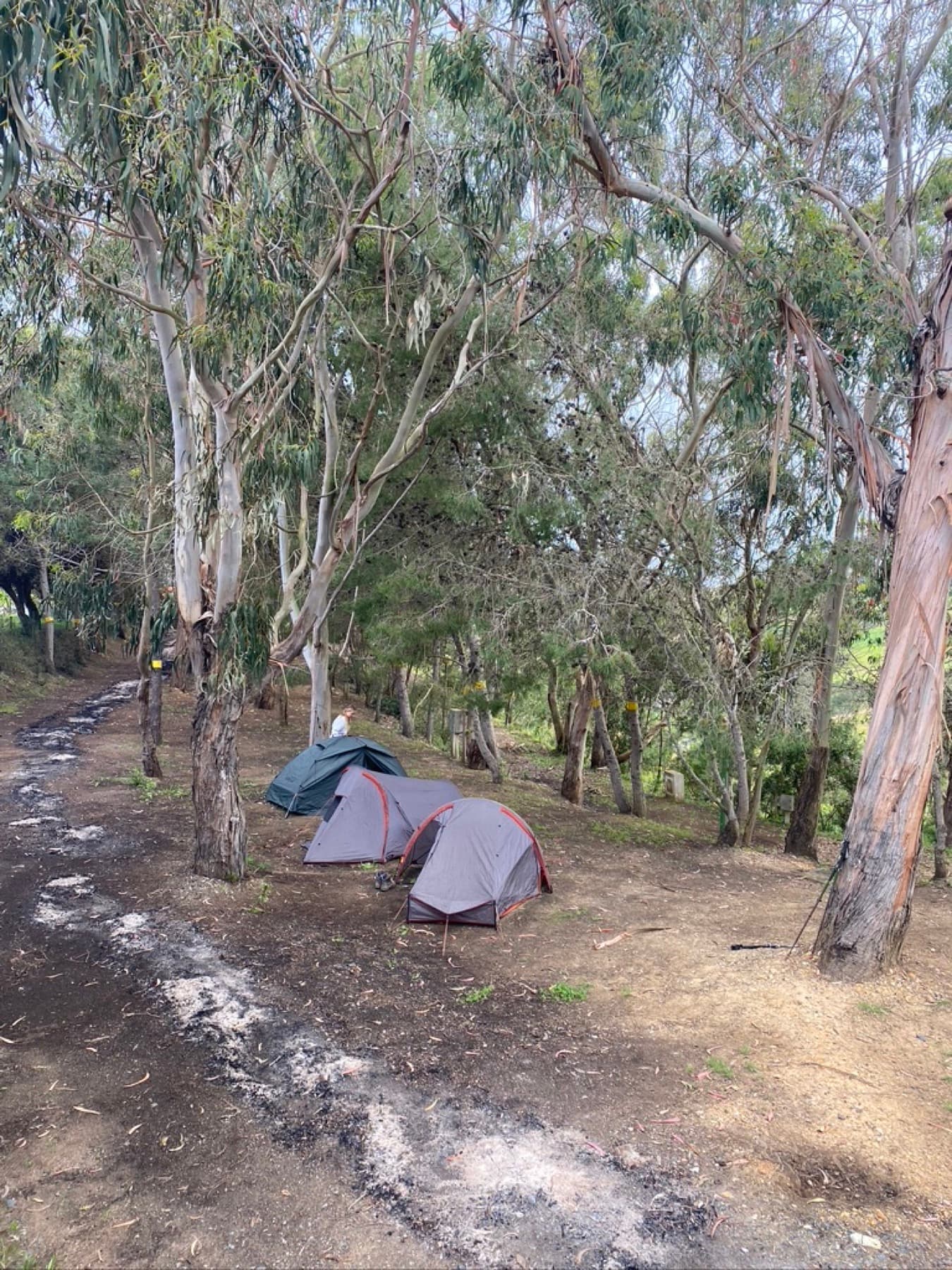 Two in the Tent, a moment from the trail