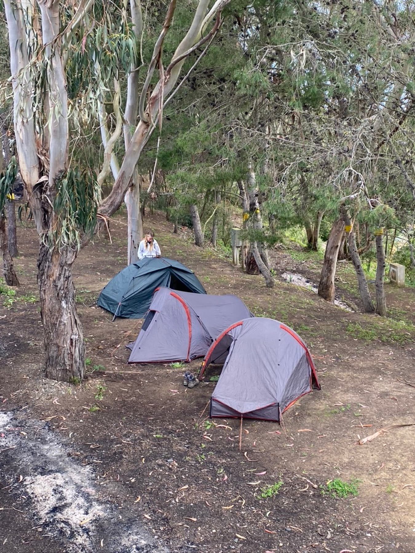 One tent.